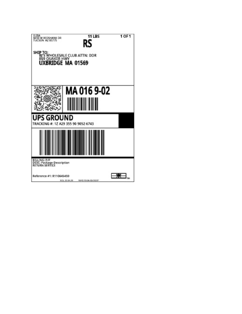 UPS-page0001-100082d539c12edbe.jpg