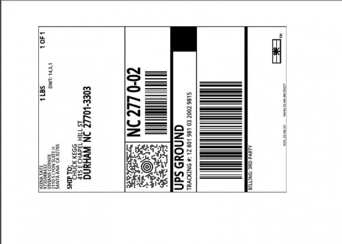 kiena-label1622e33fb09b9ee5.jpg