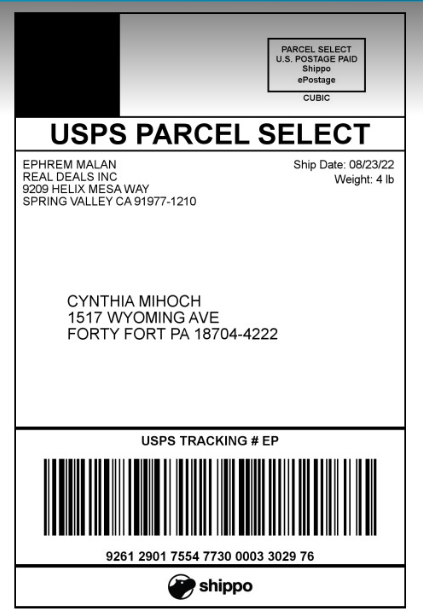 Cynthia-Mihoch85999f56b84123f9.png