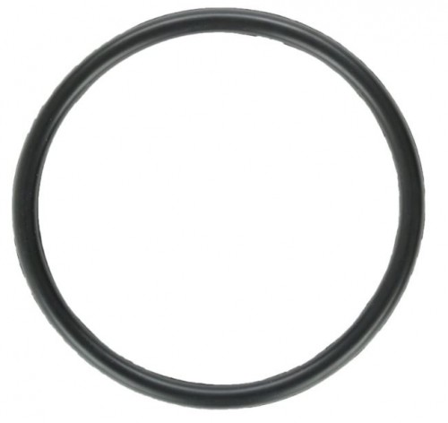 Zodiac-W151201-Nature2-O-Ring-Replacementcf9eea60f7ca934a.jpg