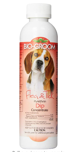 Big-groom227caf313aa77086.png