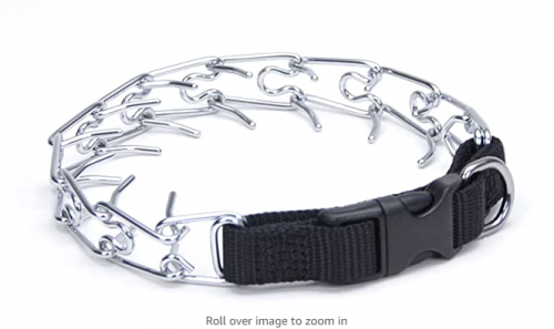 Buckle-collar668f7487aab47257.png