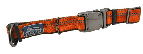 Orange-Collar19285d3b90bb935e.png