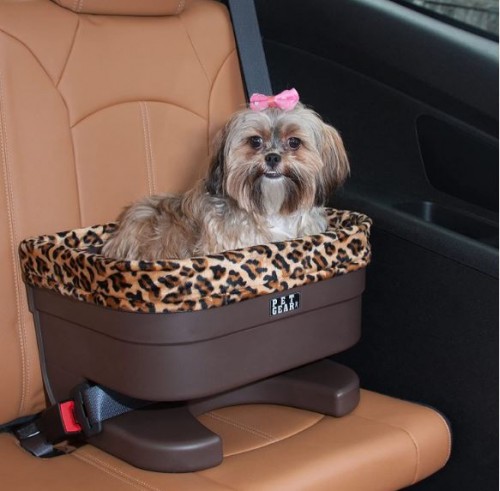 pet-gear1e9dd4aa79e4c339.jpg