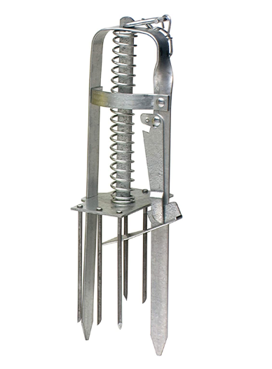 image3fcfd95305cd2936.png