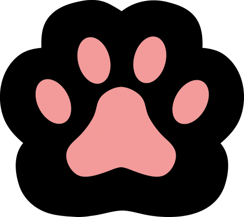imagefdb2af7f254b9f57.png