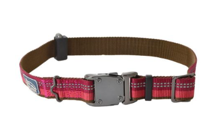 K9-Explorer-Berry-Red-Reflective-Adjustable-Dog-Collar5fd483ebcb78ccfe.png