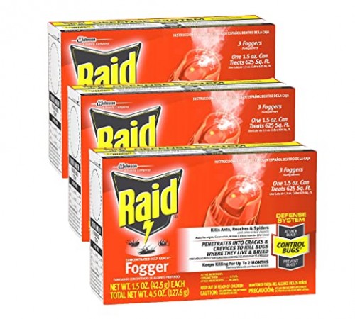 Raid0d8bf43b175344f5.jpg