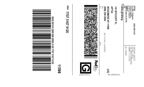 Aliza-Ginsberg-912065c5707eadb47549.png