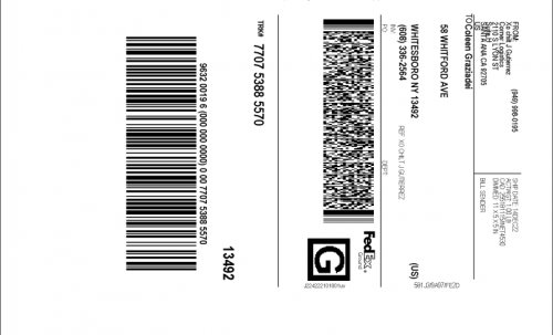 Coleen-Graziadei-5570c637ead99a6d467a.png