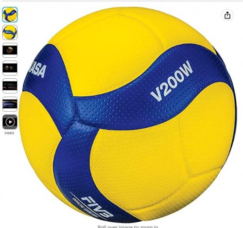 volleyballf8675579303ebd83.jpg